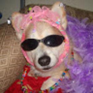 Meet your Posher, Julia